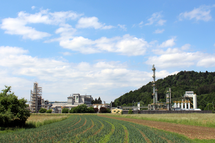 Belinka_7anniversary_750x500