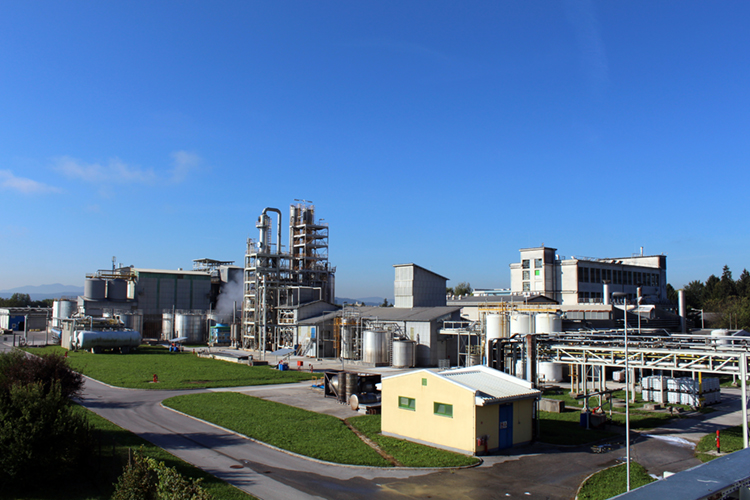 Belinka_8anniversary_750x500